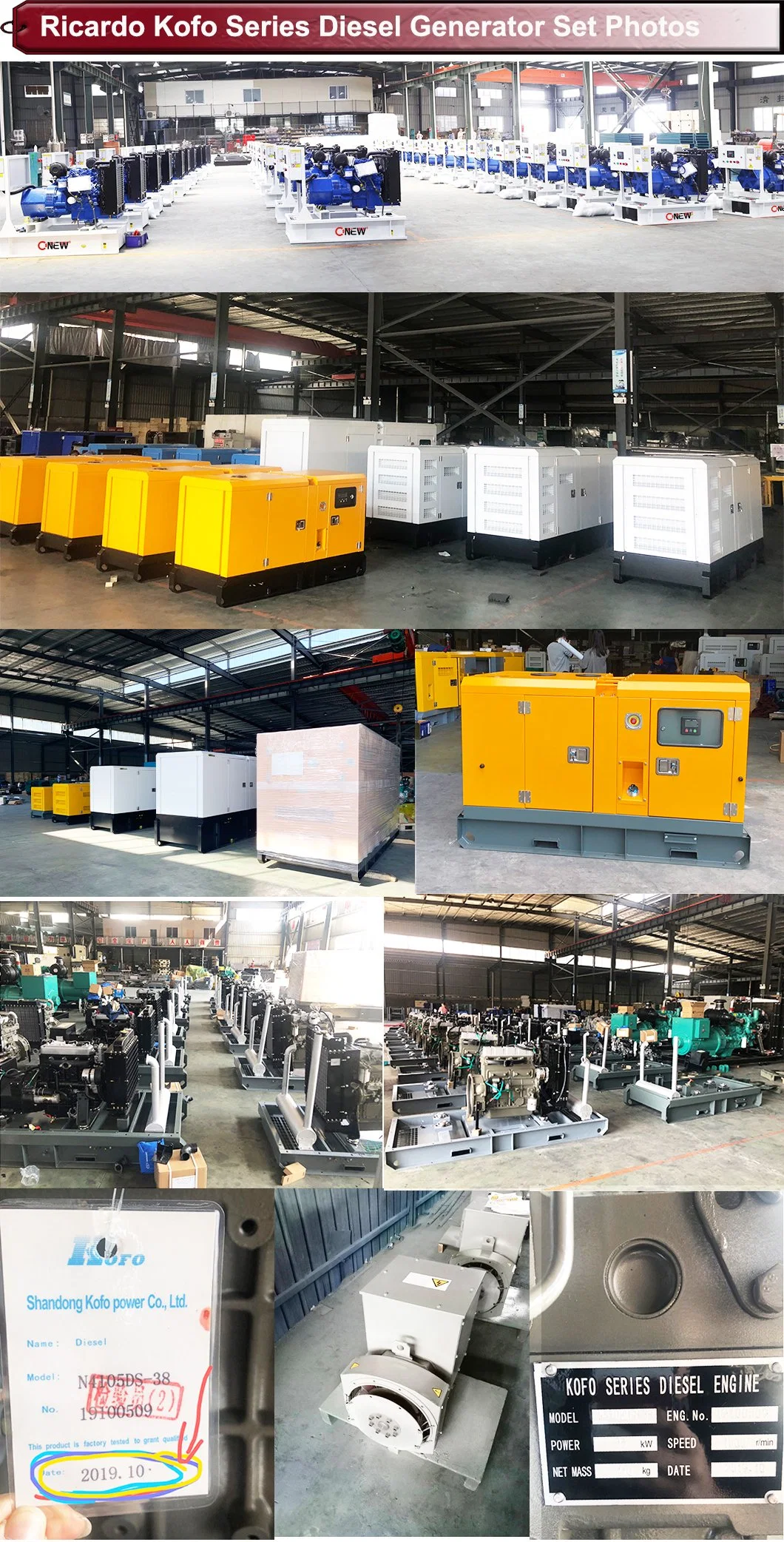 30kw 40kVA 40kv Factory Audit 220V 50Hz 1500rmp Ultrasonic Ricardo Power Diesel Generator