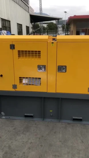 30 kW, 40 kVA, 40 kV, Werksaudit, 220 V, 50 Hz, 1500 U/min, Ultraschall-Ricardo-Power-Dieselgenerator